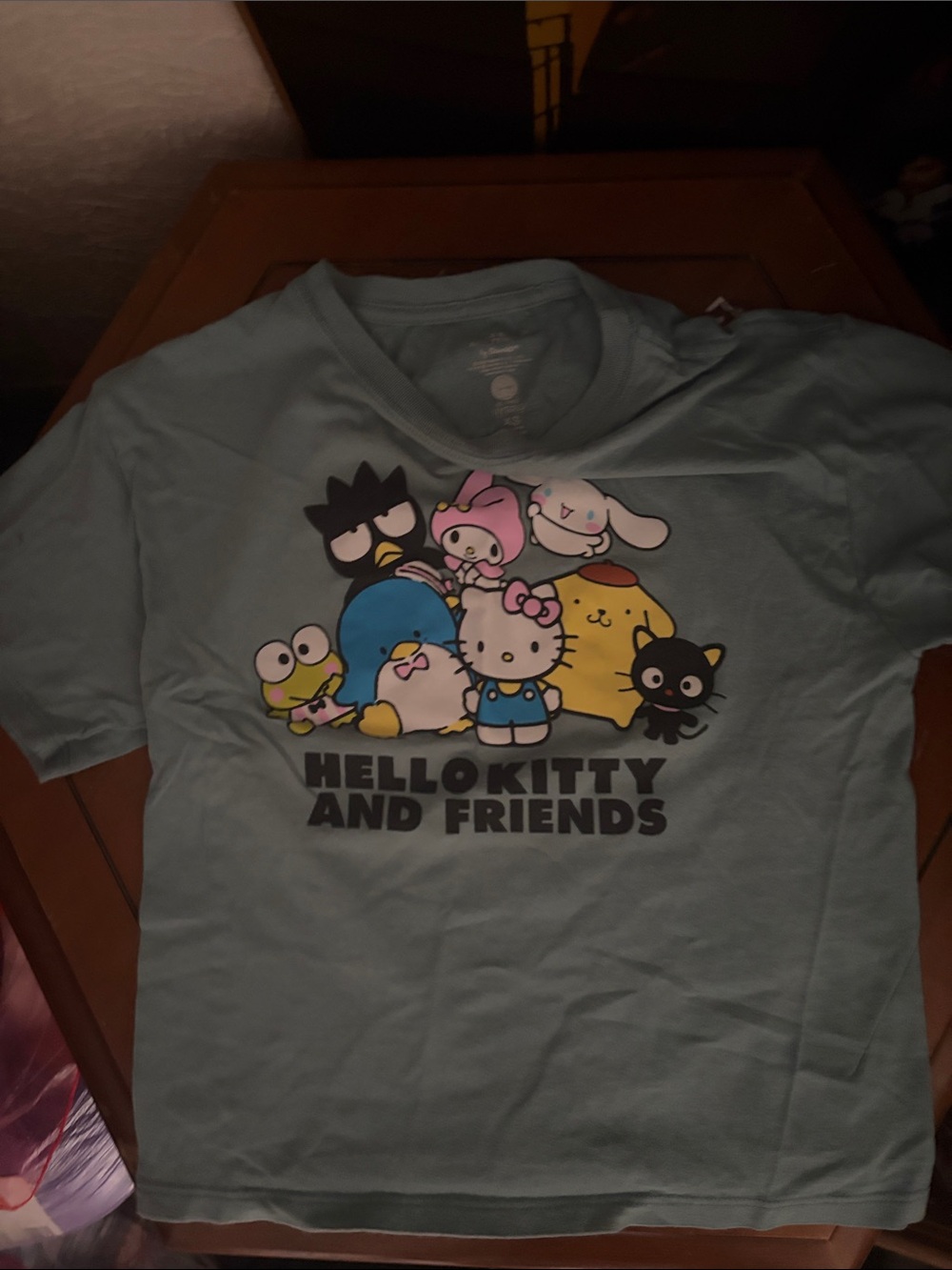 Sanrio Light Blue Hello Kitty and Friends Graphic Tee